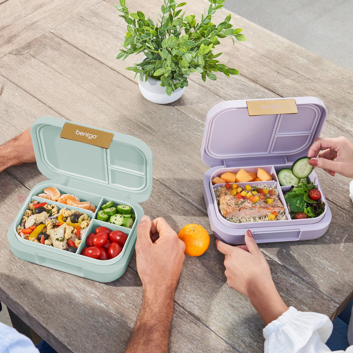 bentgo-modern-lunch-box-2-pack-y0 COSTCOBMCPRODUCTIMAGE_2.jpg